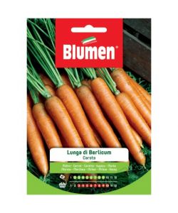 Blumen Semi Carota Lunga di Berlicum - Radice Cilindrica 21-23 cm Arancio