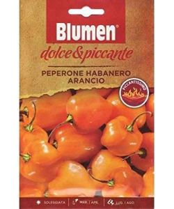 Semi di peperoncino Habanero arancio
