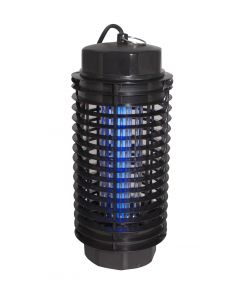 Sandokan Led Zan
