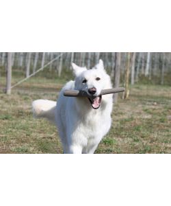 Gioco per cani Tutto Mio
