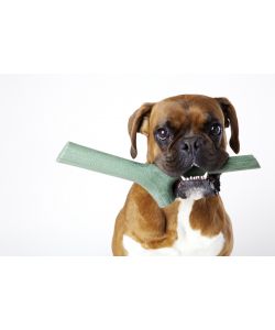Gioco per cani Tutto Mio