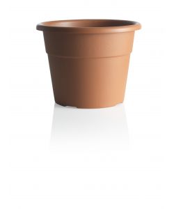 Vaso Hedera  20 cm Color Terracotta