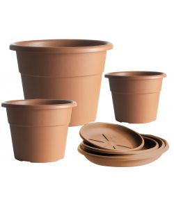 Vaso Hedera  20 cm Color Terracotta