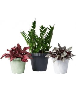 Bama Vaso da fiori Onda 20 cm grigio grafite in plastica 3,3 litri
