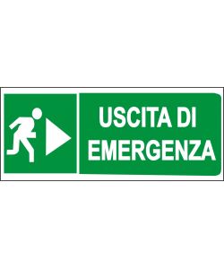 ROSH Segnaletica Uscita Emergenza Verde 31x14 cm Plastica Conforme D.Lgs.81