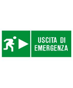 ROSH Segnaletica Uscita Emergenza Verde 31x14 cm Plastica Conforme D.Lgs.81