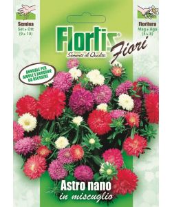 Flortis Semi Aster Nano Mix Pianta Tappezzante Multicolore 40-60 cm