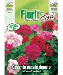 Flortis Geranio Zonale Doppio Mix - Pianta Perenne 30-40 cm - Fioritura Bouquet