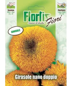 Girasole Nano Sungold Giallo-Oro - Fiori Doppi - 70-80 cm di Altezza