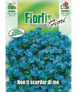 Flortis Pianta Non Ti Scordar di Me - Biennale Mezz'ombra 20-30 cm