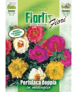Flortis Sementi Fiori Portulaca Doppia Mix - Colorati e Pronti per Semina