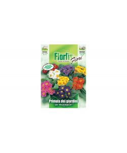 Primula Dei Giardini Mix