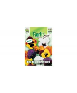 Sementi Fiori Viola del Pensiero - Pronte per Semina