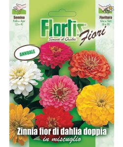 Flortis - Miscela annuale fiori grandi di Dalia e Zinnia