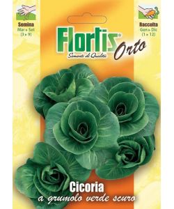 Flortis Semi Cicoria Grumolo Verde Scuro - Foglie larghe rotonde 1g