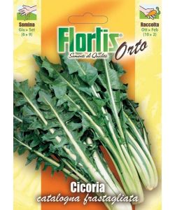 Sementi Orto - Cicoria Catalogna Foglie Frastagliate - In Busta