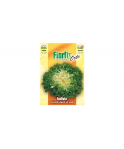 Flortis - Semi Indivia Riccia Cuor d'Oro Verde-Biondo 90-100 Giorni