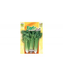 Flortis Sedano d'Elne - Semi di sedano verde - Altezza media - 0,5 cm