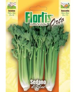Flortis Sedano d'Elne - Semi di sedano verde - Altezza media - 0,5 cm