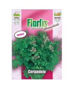 Coriandolo
