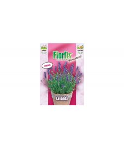 Semi di Lavanda in busta