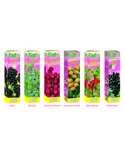 Arbusto da frutto Mix