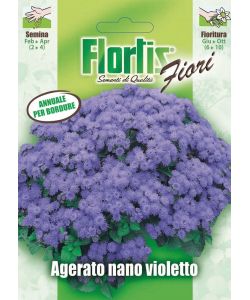 Pianta annuale con fiori ombrello - Colore violetto - 30 cm