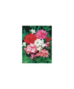 Flortis Concime per Piante Fiorite - 500 gr