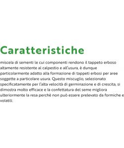 Flortis Semi per Prato Strong Confettati 3 kg - Erba Resistente 120 mq