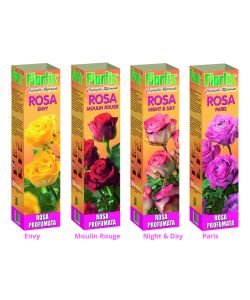 Arbusto Rose profumate pregiate Mix