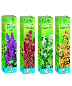 Flortis Arbusto da Fiore Ornamentale - Mix Varianti e Colori
