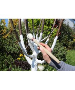 Flortis Calce Idrata per Orto e Giardino - 500gr