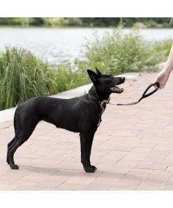 Ferplast Guinzaglio per Cani Daytona GM Blu 45 x 2,5 cm Morbido e Robusto