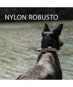 Ferplast Guinzaglio per Cani Daytona GM Nero 45 x 2,5 cm Nylon Resistente