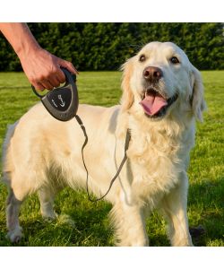 Ferplast Guinzaglio per Cani Retraibile Flippy Tech Tape Nero 3m - M