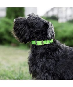 Ferplast Collare Cane Nylon Regolabile Verde 32-39 cm per Taglia Media