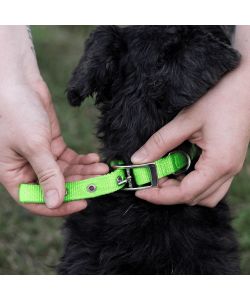 Ferplast Collare Cane Nylon Regolabile Verde 32-39 cm per Taglia Media