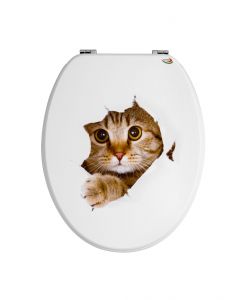 Sedile WC stampa Gatto