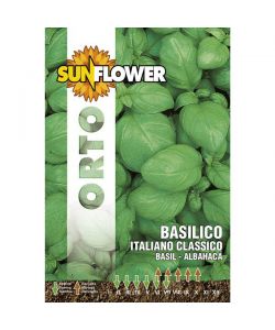 Sementi Basilico Italiano Classico       Sunflower