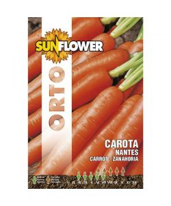 Sementi Carota Nantes                    Sunflower