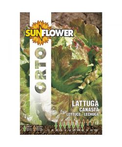 Sementi Lattuga Canasta                  Sunflower