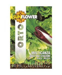 Sementi Misticanza Quattro Stagioni      Sunflower