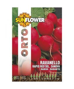 Sementi Ravanello Rapid Red              Sunflower