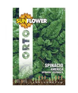 Sementi Spinacio America                 Sunflower