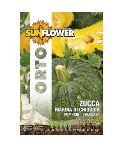 Sementi Zucca Marina Di Chioggia         Sunflower