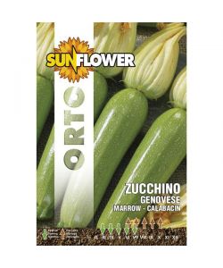 Sementi Zucchino Genovese                Sunflower