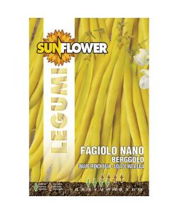 Sementi Fagiolo Nano Berggold            Sunflower