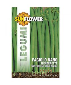 Sementi Fagiolo Nano Slenderette         Sunflower