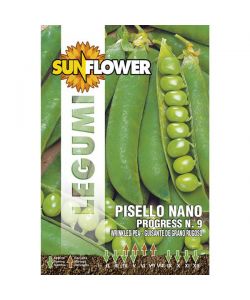 Sementi Pisello Nano Progress 9          Sunflower