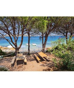 Set Birreria in Legno Plus- 220x80 cm - Ideale per Eventi